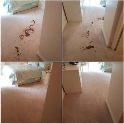 Stain removal from carpets